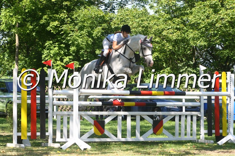 308M1795_Cosmo_Spring Mxx.JPG